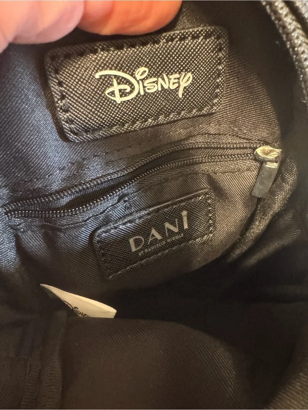 Disney Mickey Mouse by DANI Danielle Nicole Crossbody Bag